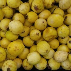 Organic Guavas