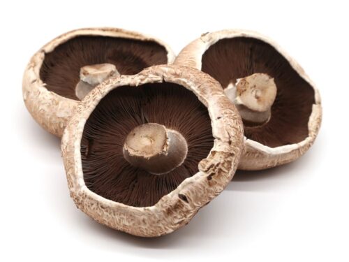 Portabello/Portabellini Mushrooms